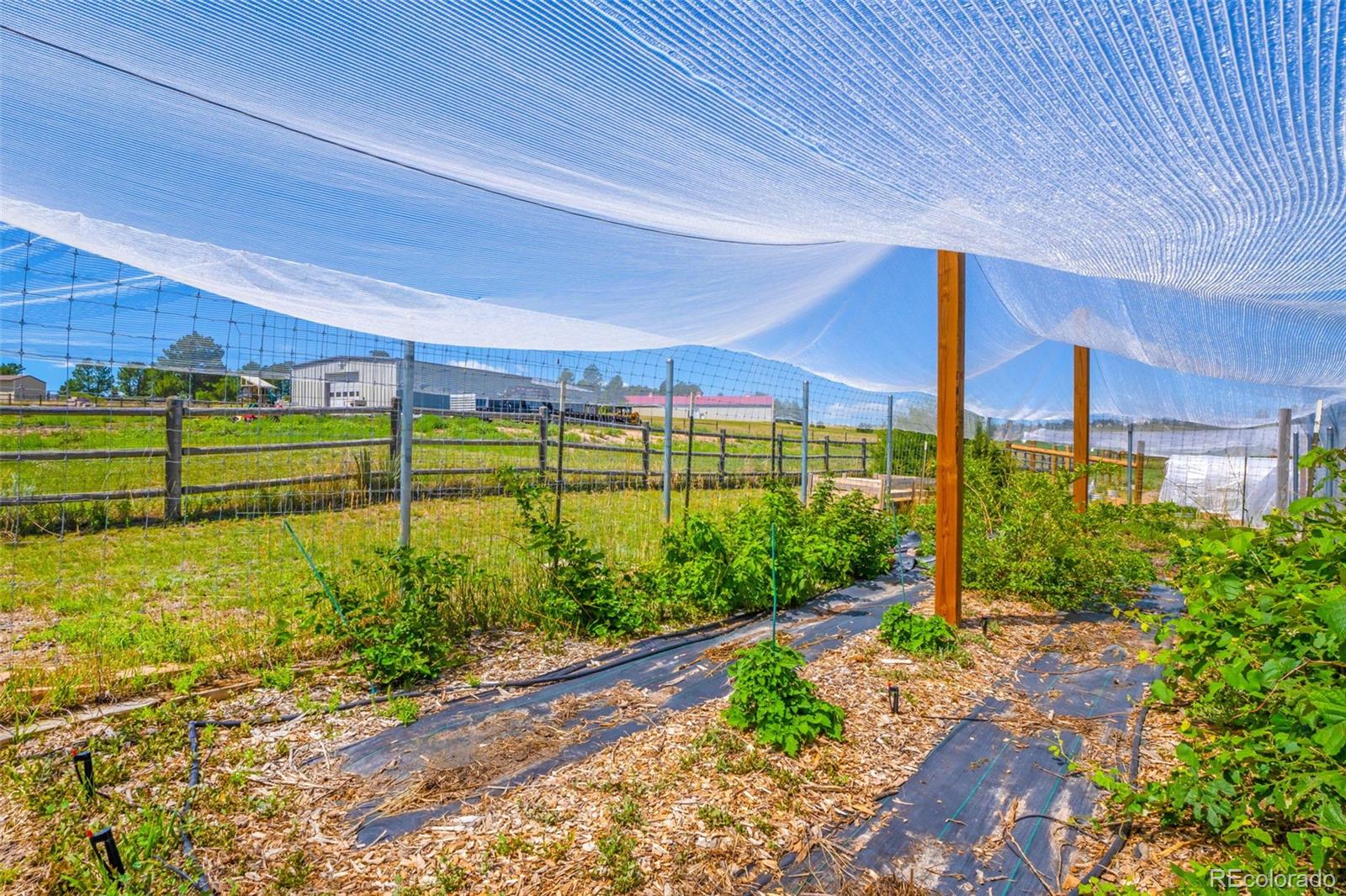 MLS Image #41 for 36023  winchester road,elizabeth, Colorado