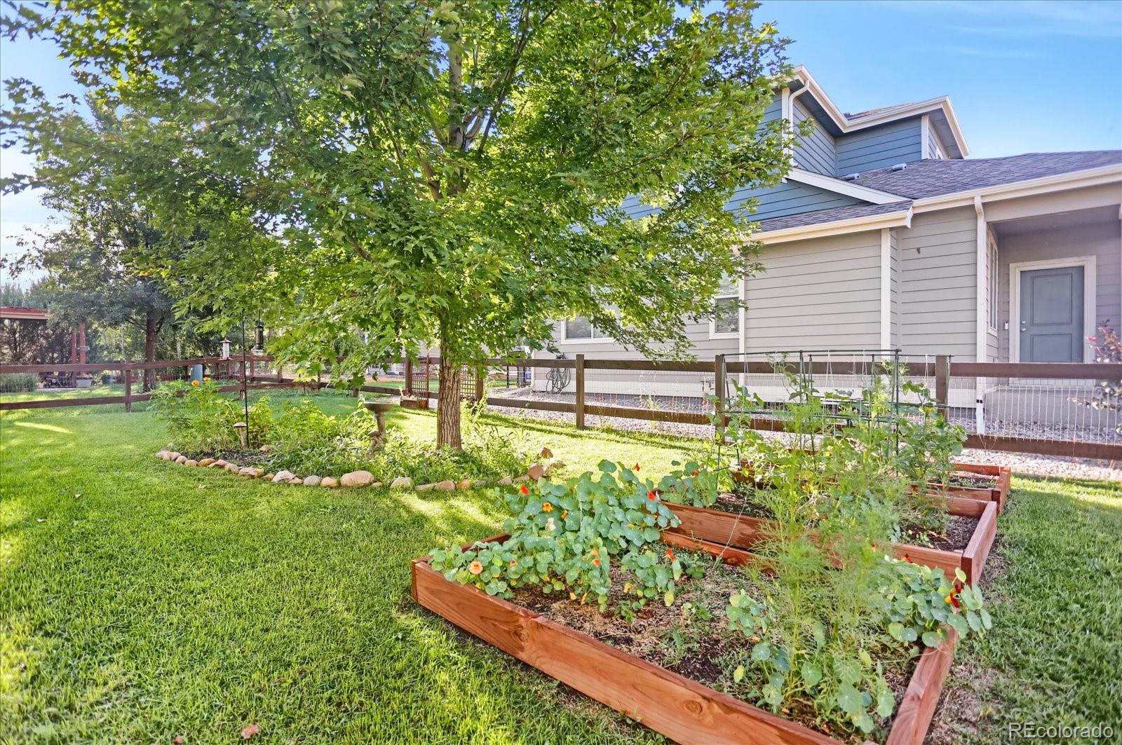 MLS Image #28 for 1933  winamac drive,fort collins, Colorado