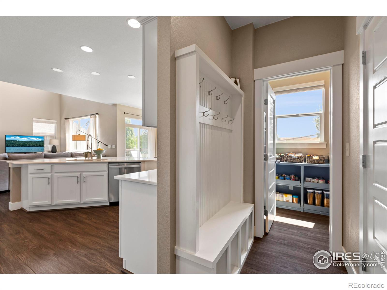 MLS Image #13 for 2289  stonefish drive,windsor, Colorado