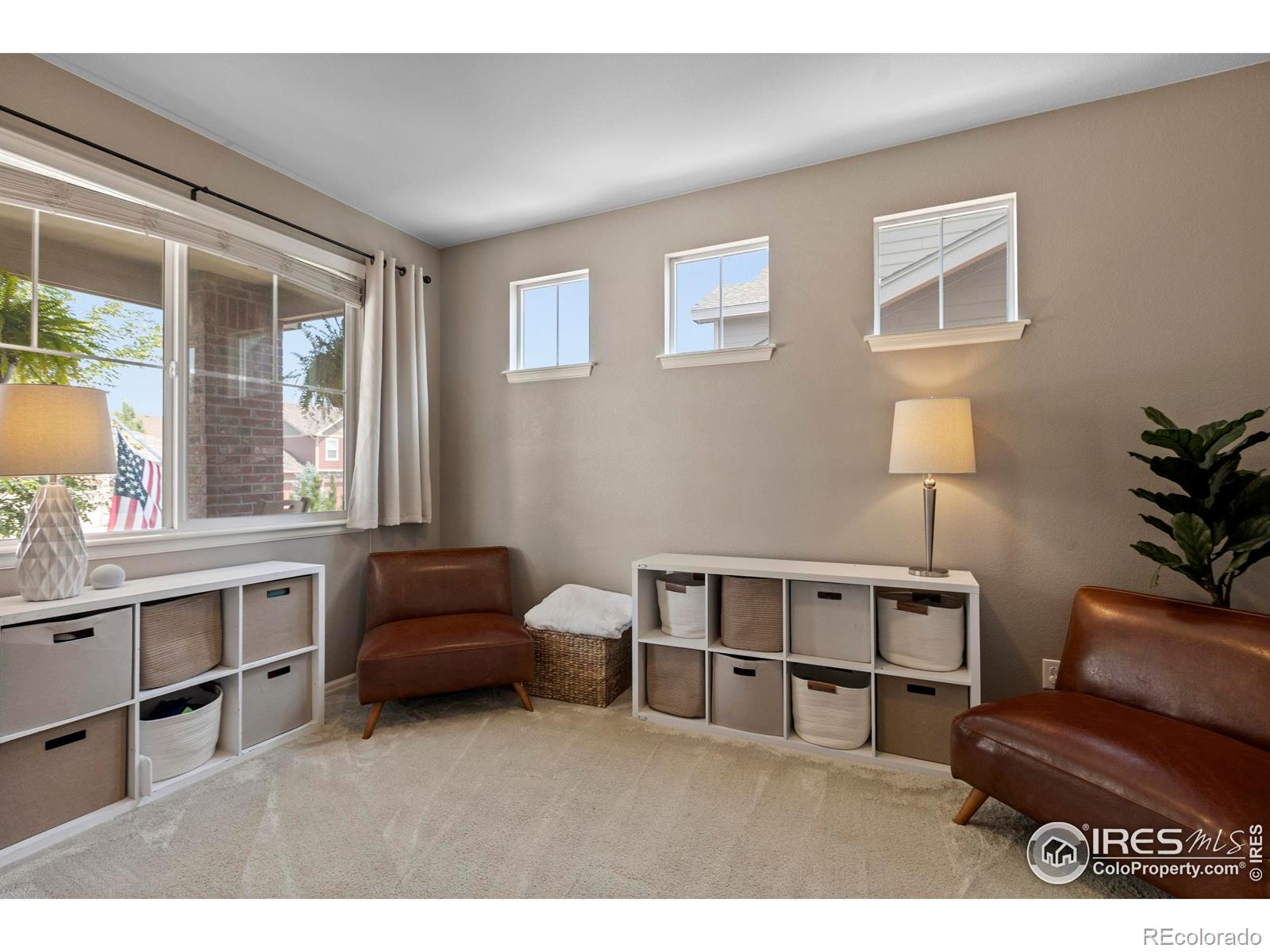 MLS Image #14 for 2289  stonefish drive,windsor, Colorado