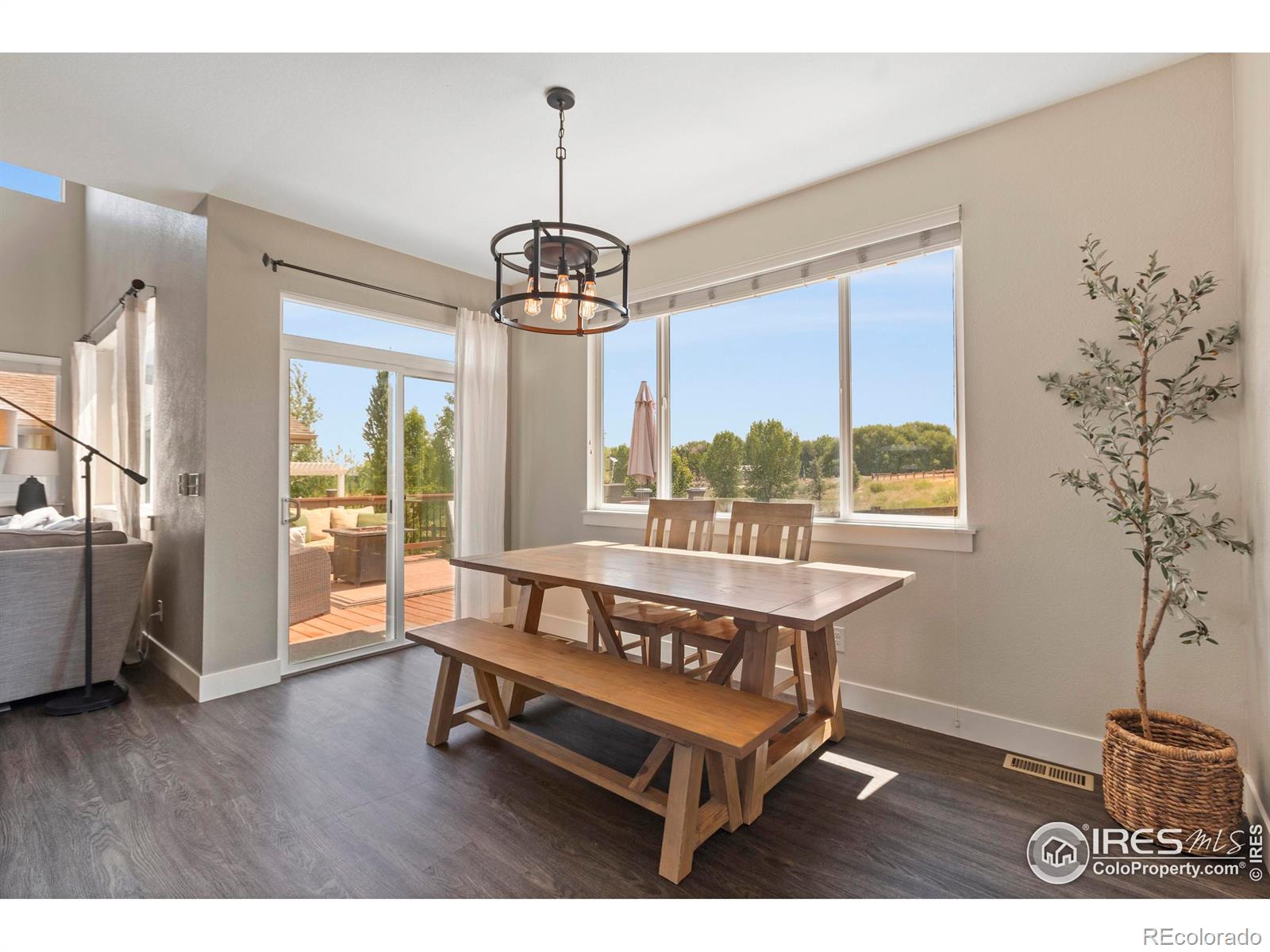 MLS Image #6 for 2289  stonefish drive,windsor, Colorado