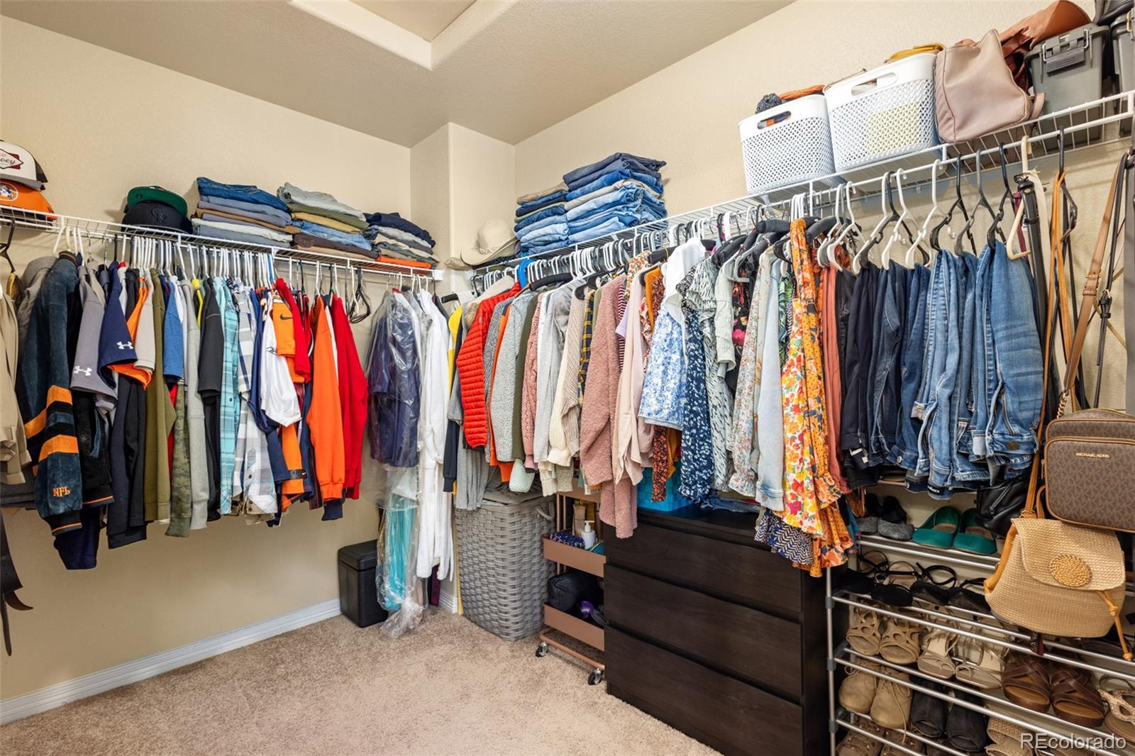 MLS Image #19 for 1439  moraine valley drive,severance, Colorado