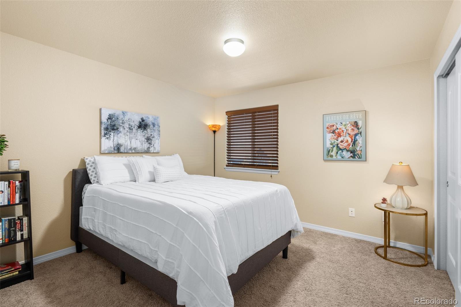 MLS Image #23 for 1439  moraine valley drive,severance, Colorado