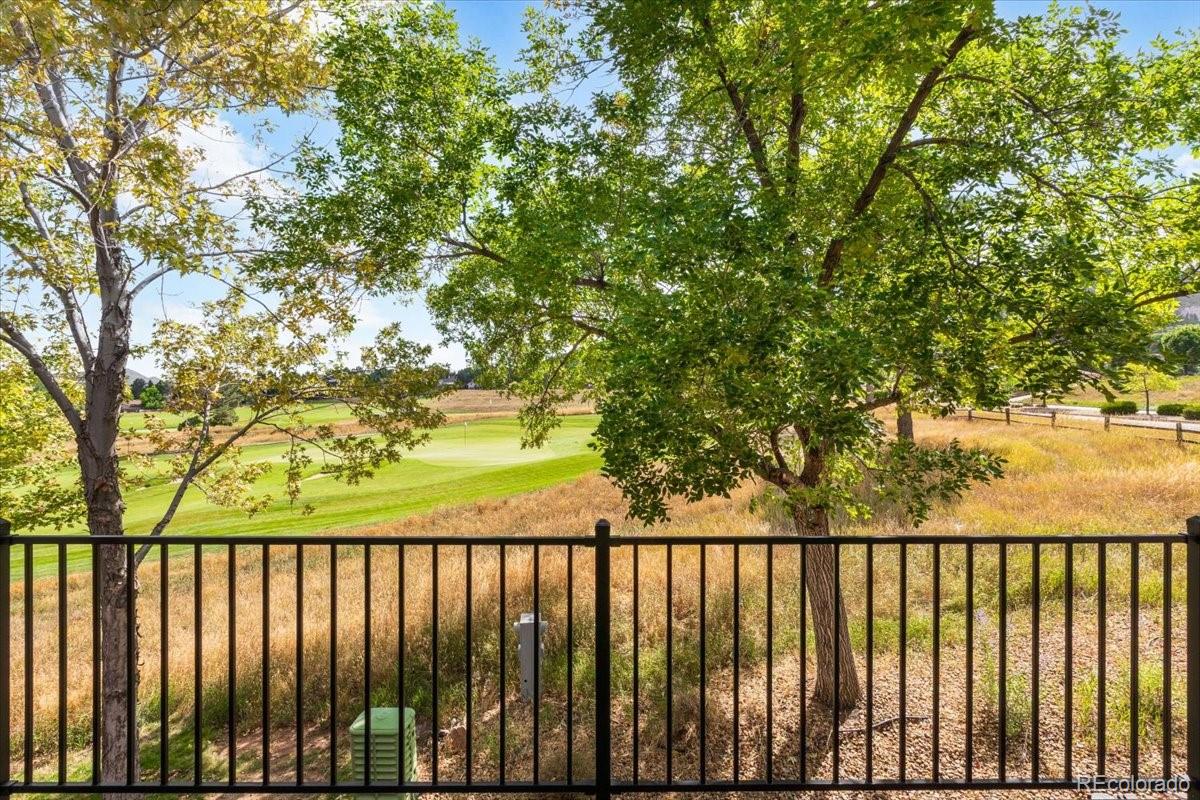 MLS Image #17 for 16096  double eagle drive,morrison, Colorado