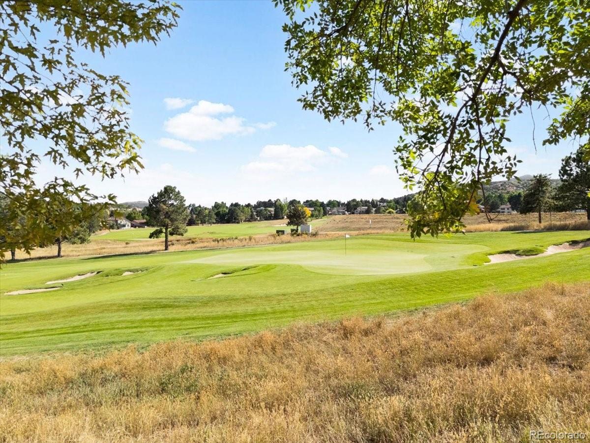 MLS Image #19 for 16096  double eagle drive,morrison, Colorado