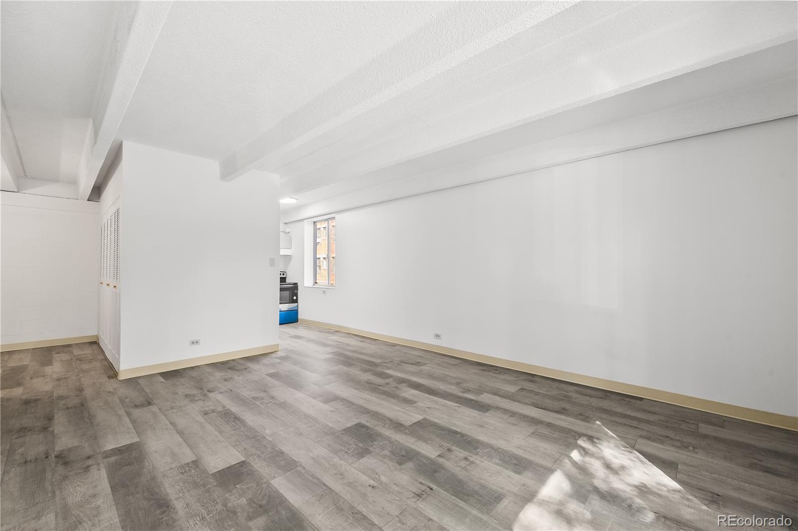 MLS Image #3 for 555 e 10th avenue 114,denver, Colorado