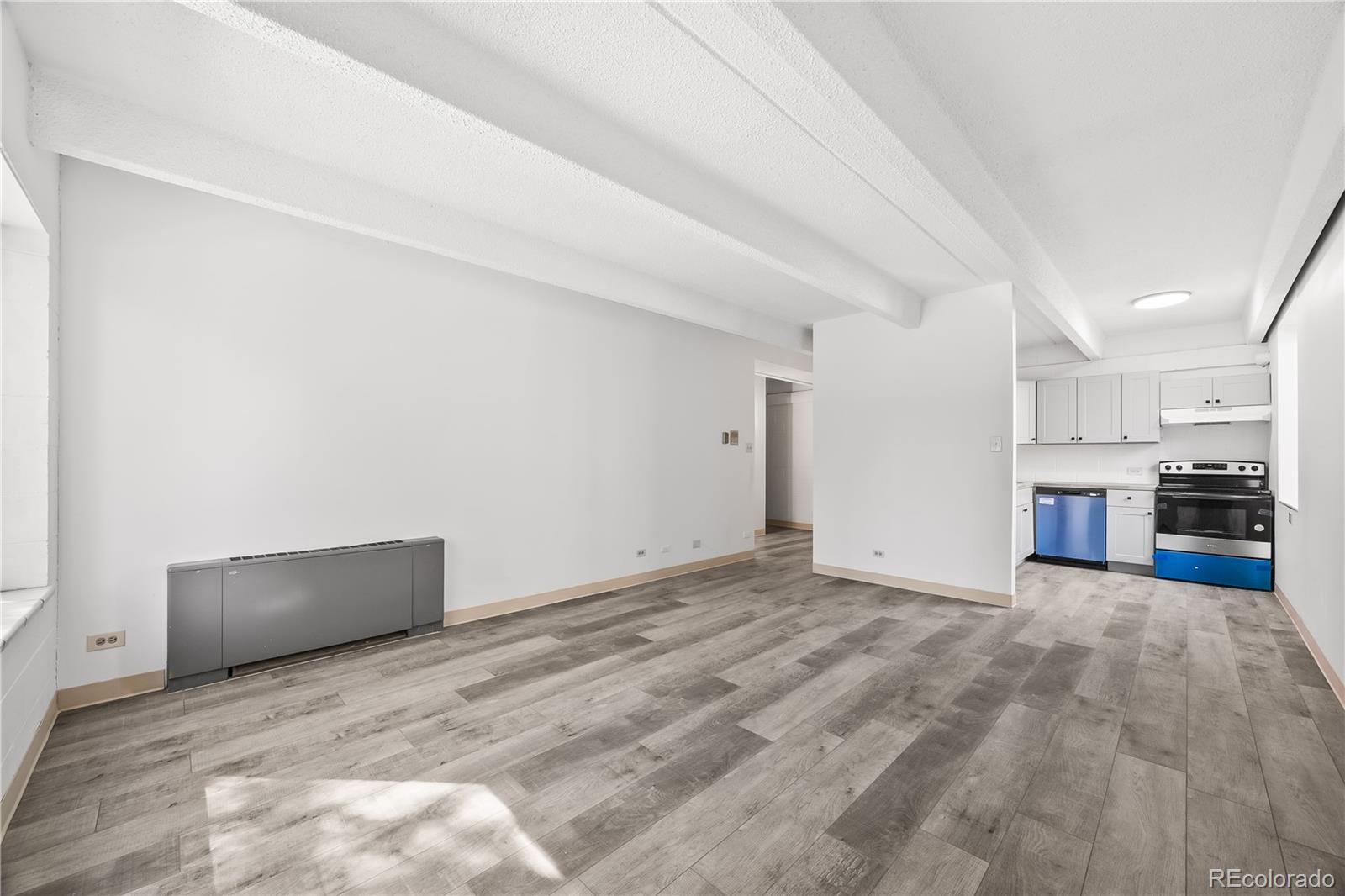MLS Image #4 for 555 e 10th avenue 114,denver, Colorado