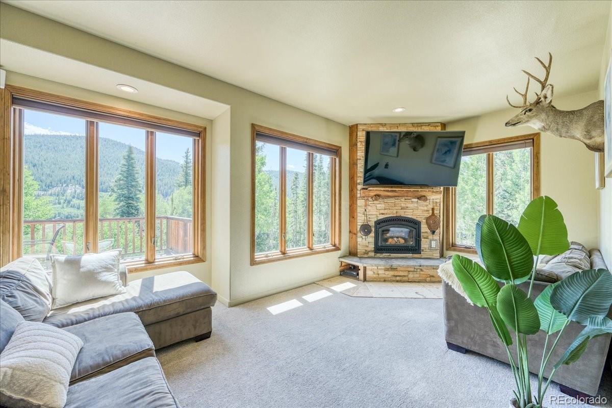 MLS Image #1 for 234  peterson drive,fairplay, Colorado