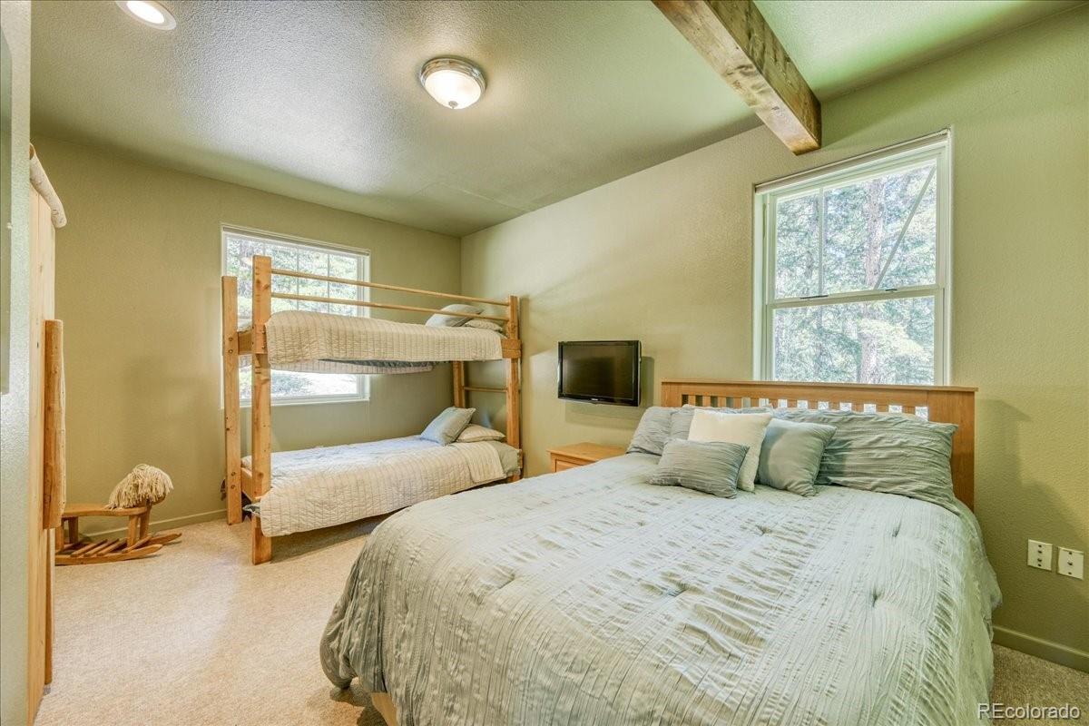 MLS Image #10 for 234  peterson drive,fairplay, Colorado