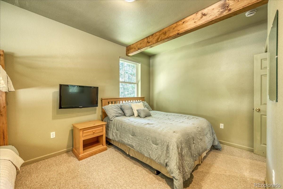 MLS Image #11 for 234  peterson drive,fairplay, Colorado