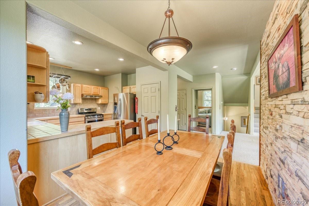 MLS Image #12 for 234  peterson drive,fairplay, Colorado