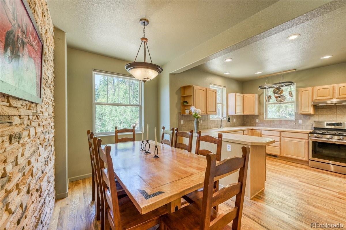 MLS Image #13 for 234  peterson drive,fairplay, Colorado