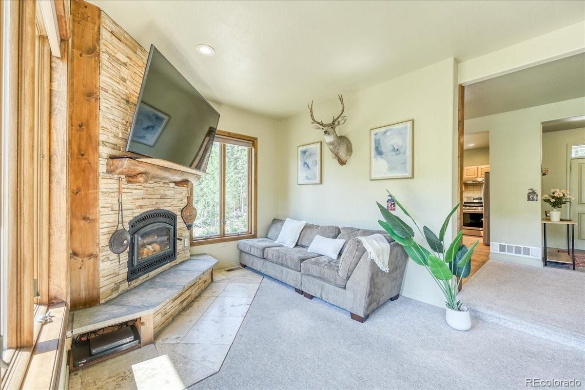 MLS Image #14 for 234  peterson drive,fairplay, Colorado