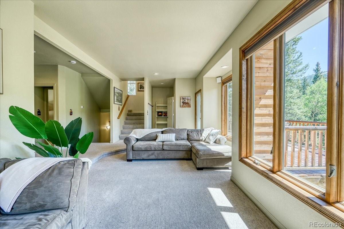 MLS Image #16 for 234  peterson drive,fairplay, Colorado