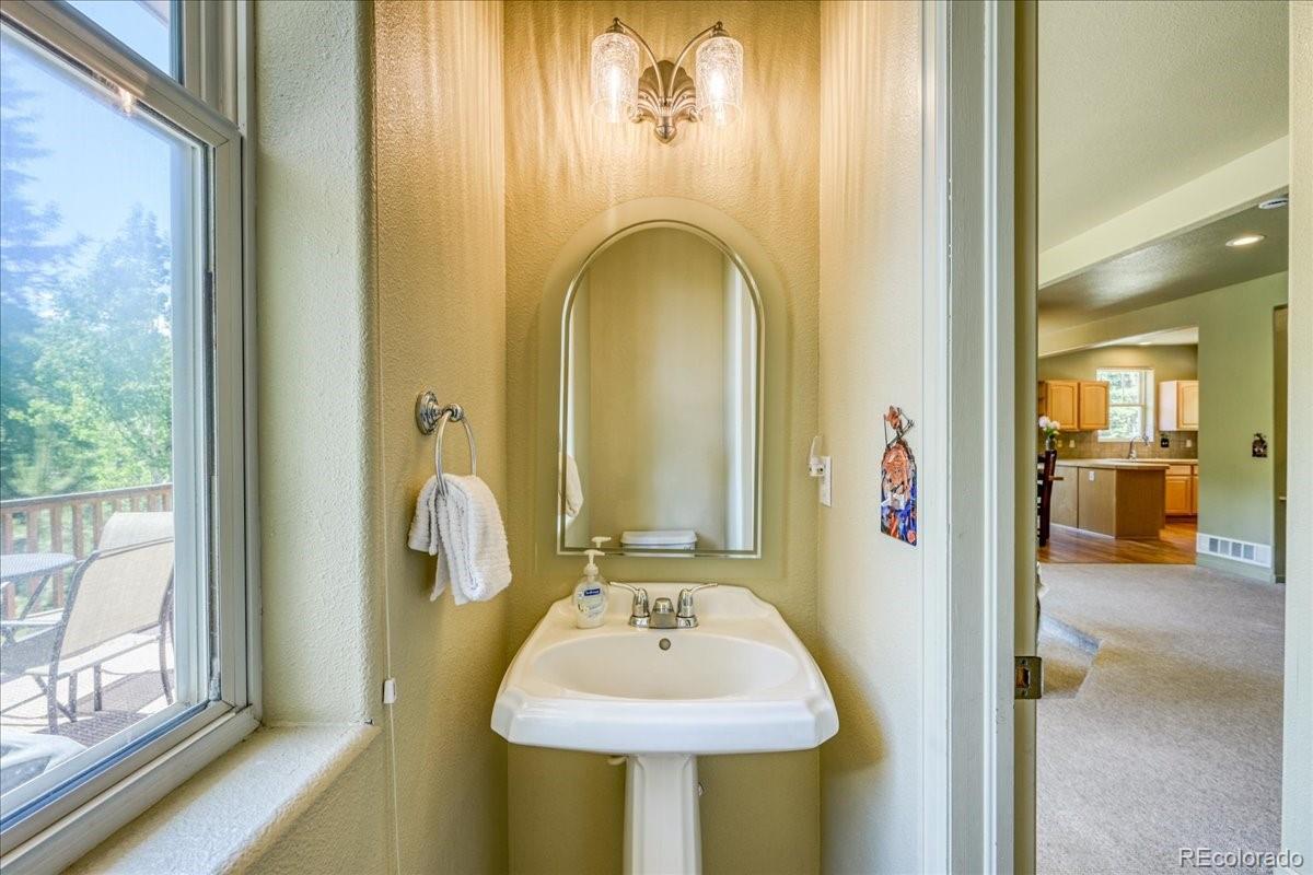 MLS Image #17 for 234  peterson drive,fairplay, Colorado