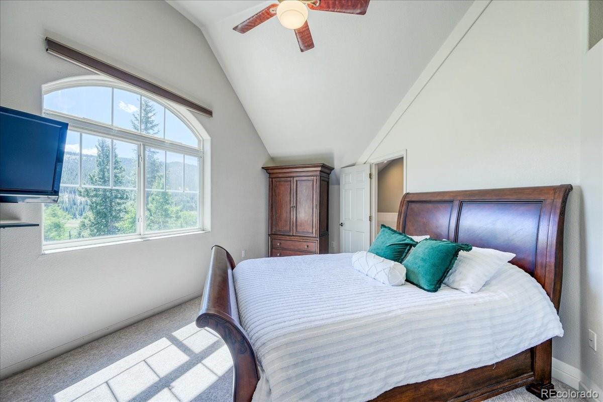 MLS Image #18 for 234  peterson drive,fairplay, Colorado