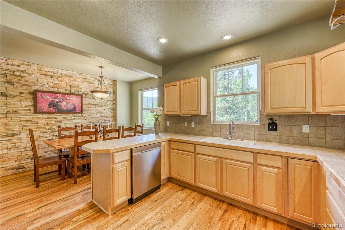 MLS Image #2 for 234  peterson drive,fairplay, Colorado