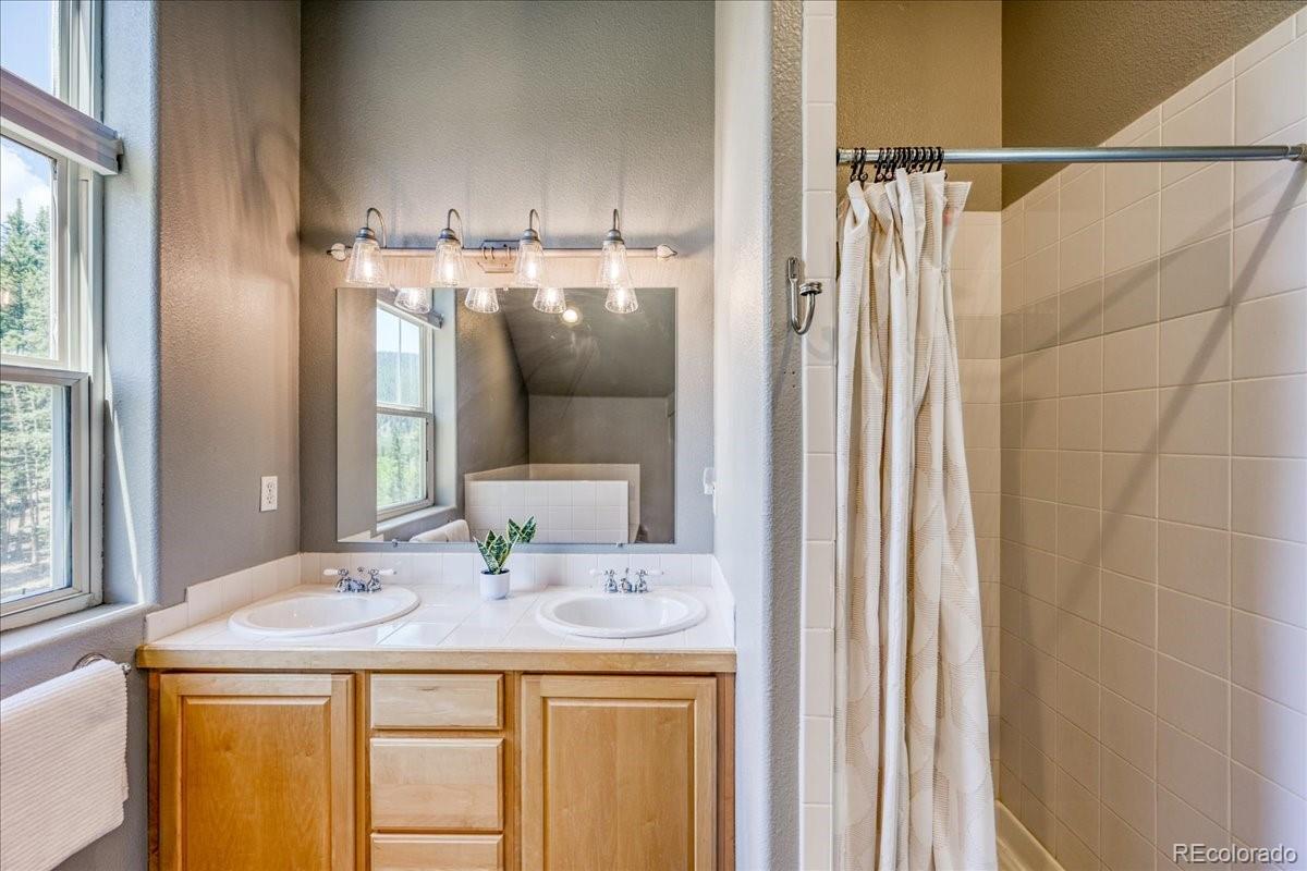MLS Image #22 for 234  peterson drive,fairplay, Colorado