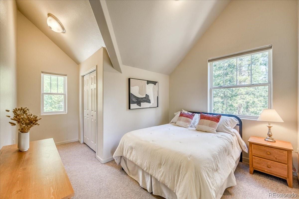 MLS Image #23 for 234  peterson drive,fairplay, Colorado