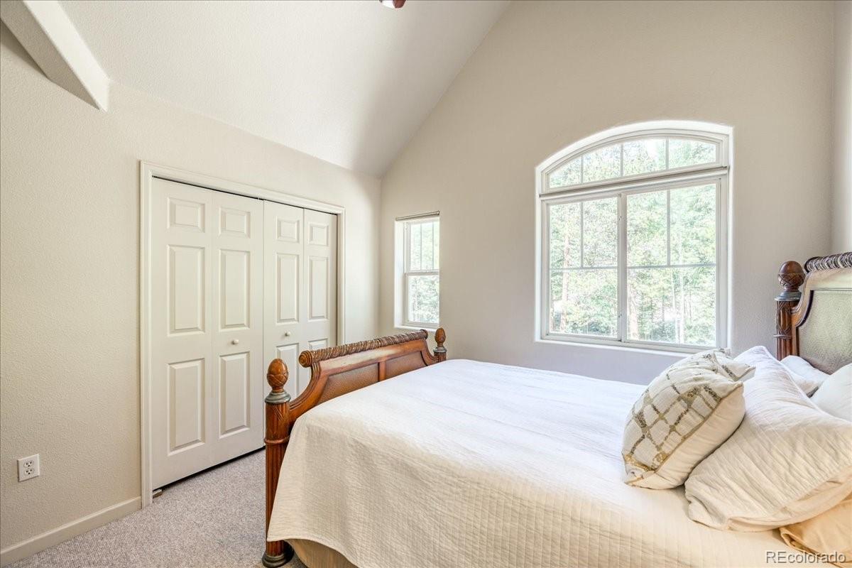 MLS Image #24 for 234  peterson drive,fairplay, Colorado