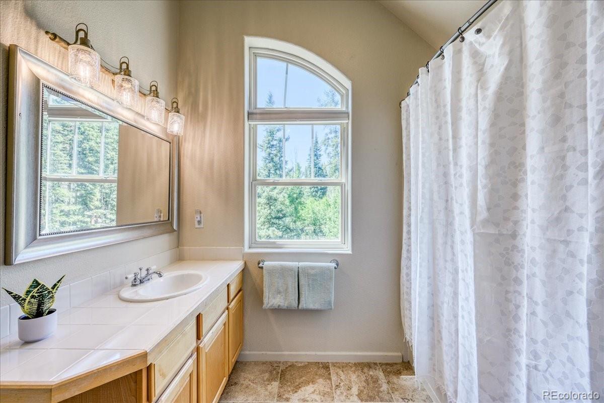 MLS Image #26 for 234  peterson drive,fairplay, Colorado
