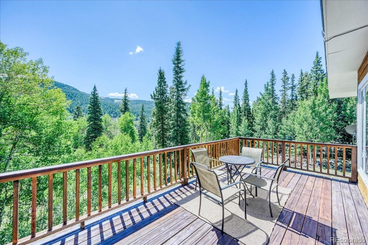 MLS Image #3 for 234  peterson drive,fairplay, Colorado