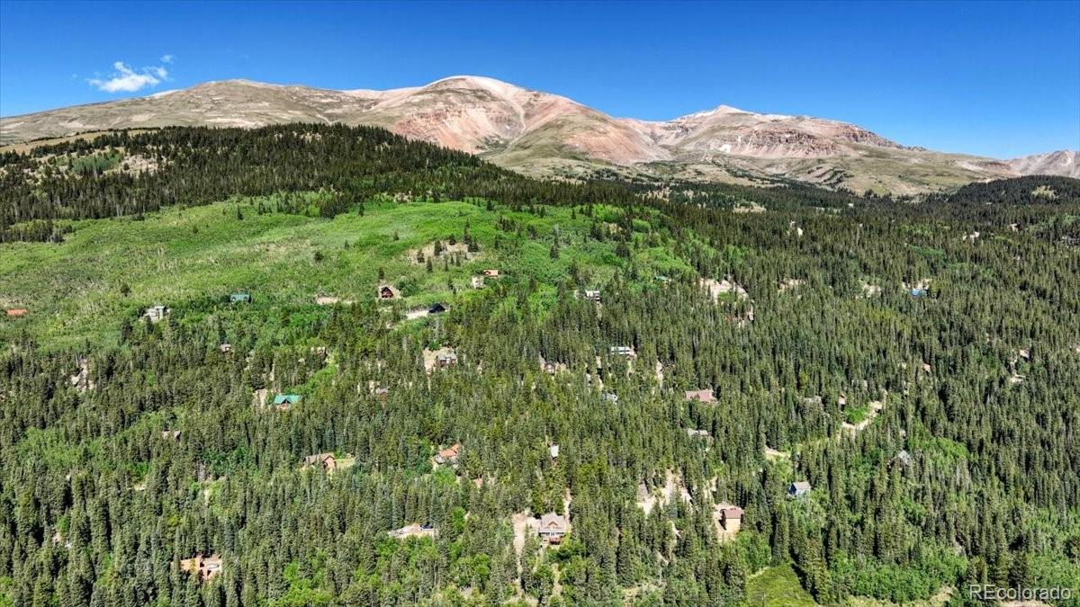MLS Image #31 for 234  peterson drive,fairplay, Colorado