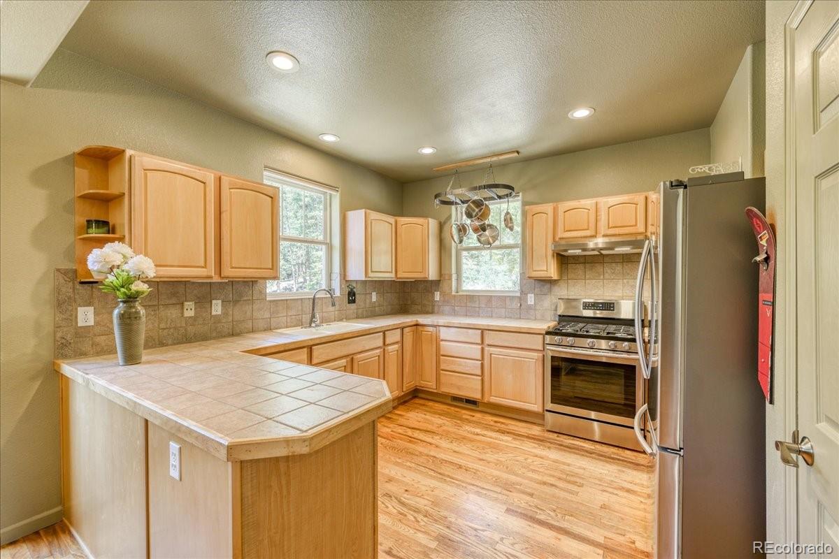 MLS Image #5 for 234  peterson drive,fairplay, Colorado