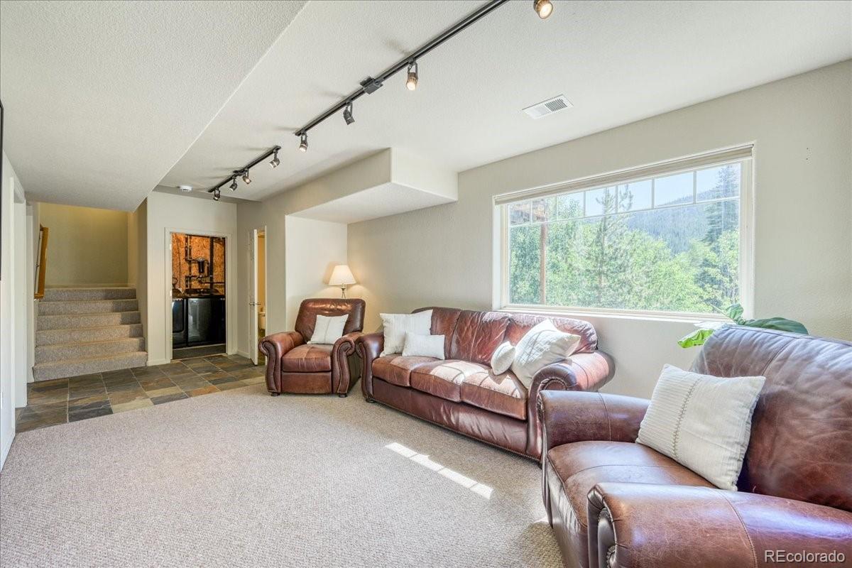 MLS Image #6 for 234  peterson drive,fairplay, Colorado