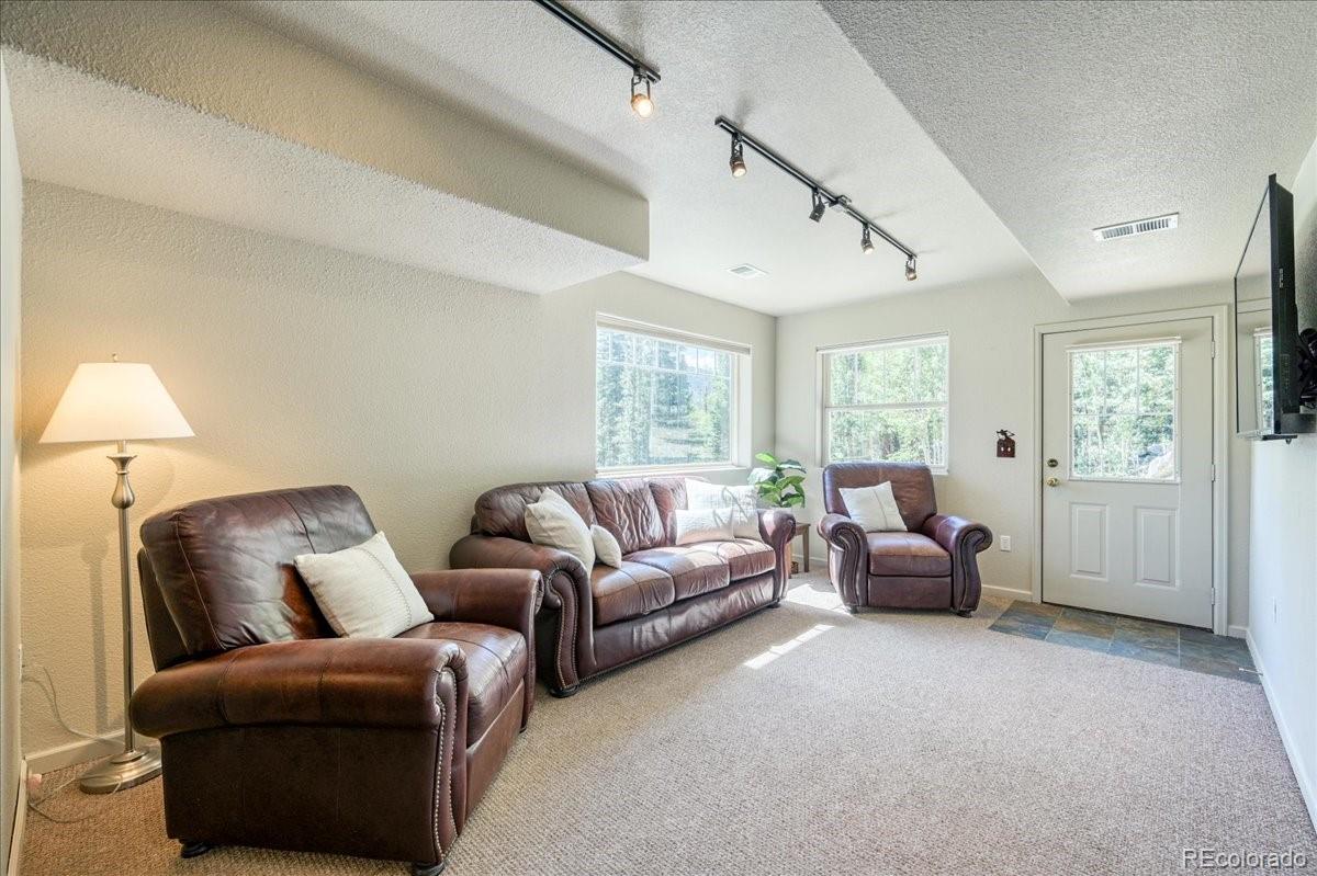 MLS Image #7 for 234  peterson drive,fairplay, Colorado