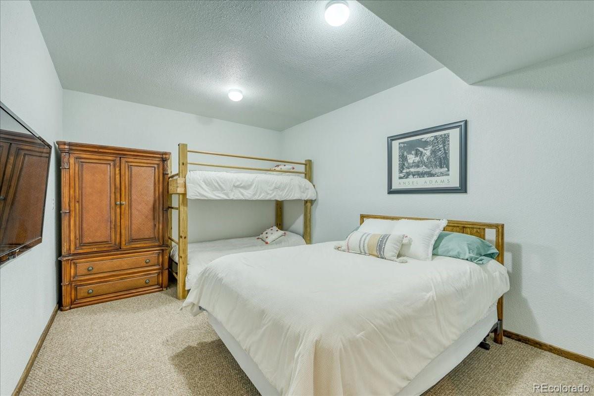 MLS Image #9 for 234  peterson drive,fairplay, Colorado