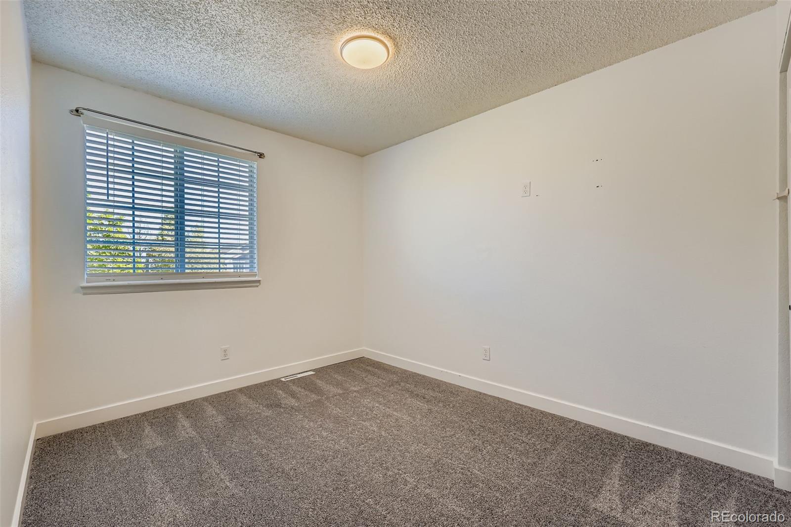 MLS Image #19 for 5326 e howe street,castle rock, Colorado