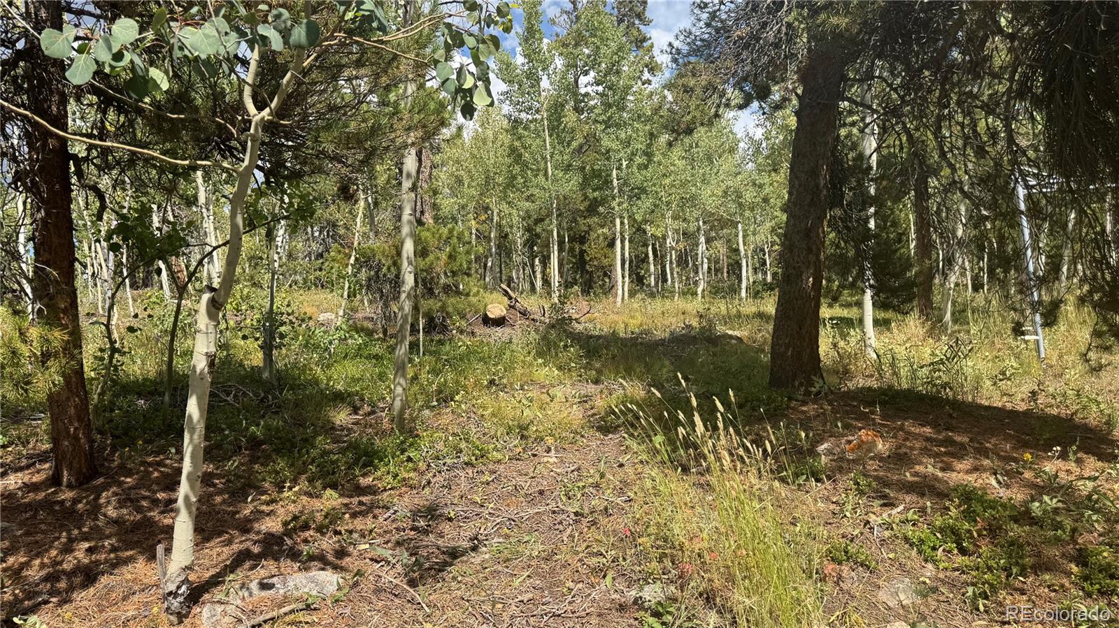MLS Image #37 for 83  peak view drive,black hawk, Colorado