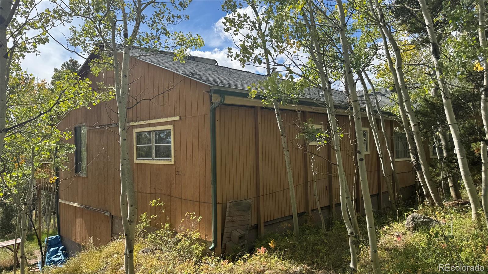 MLS Image #5 for 83  peak view drive,black hawk, Colorado