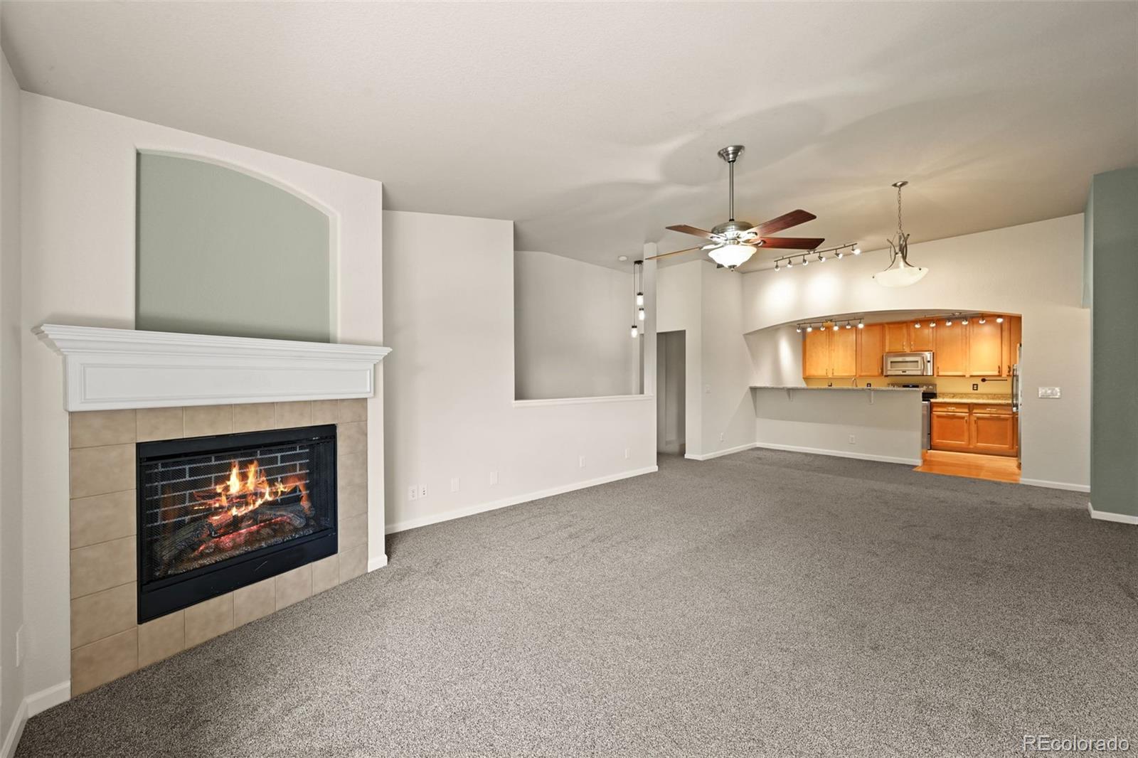 MLS Image #26 for 9397  las ramblas court c,parker, Colorado