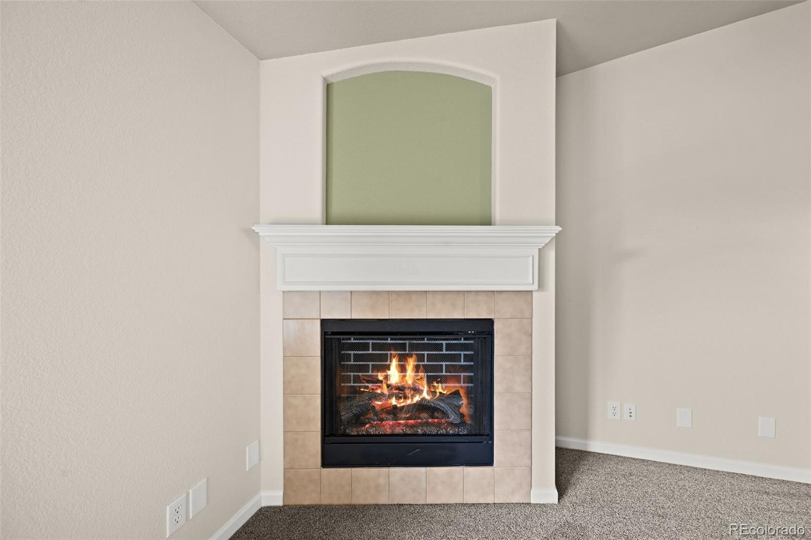MLS Image #27 for 9397  las ramblas court c,parker, Colorado