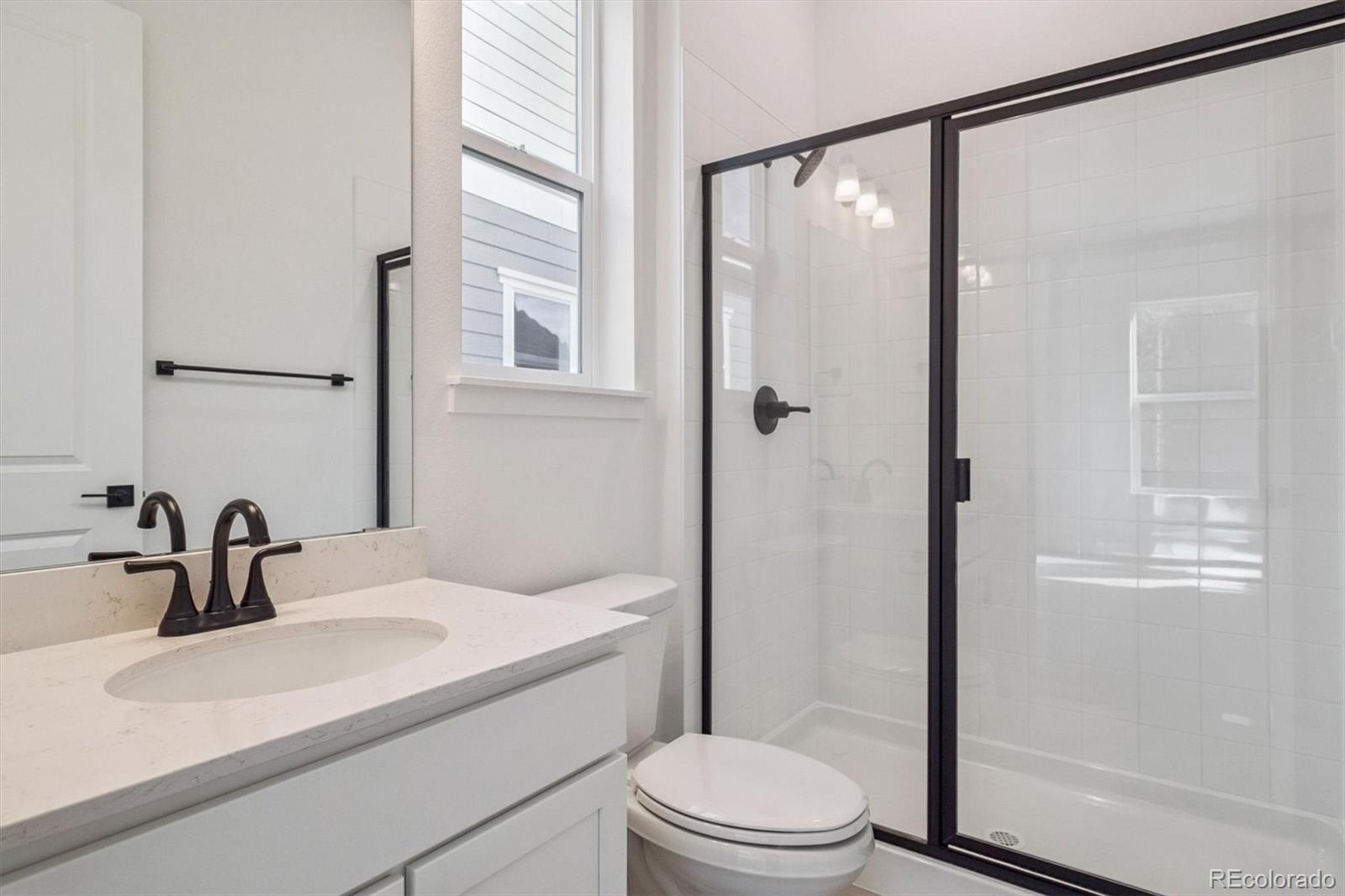 MLS Image #10 for 9227  gold lace place,highlands ranch, Colorado