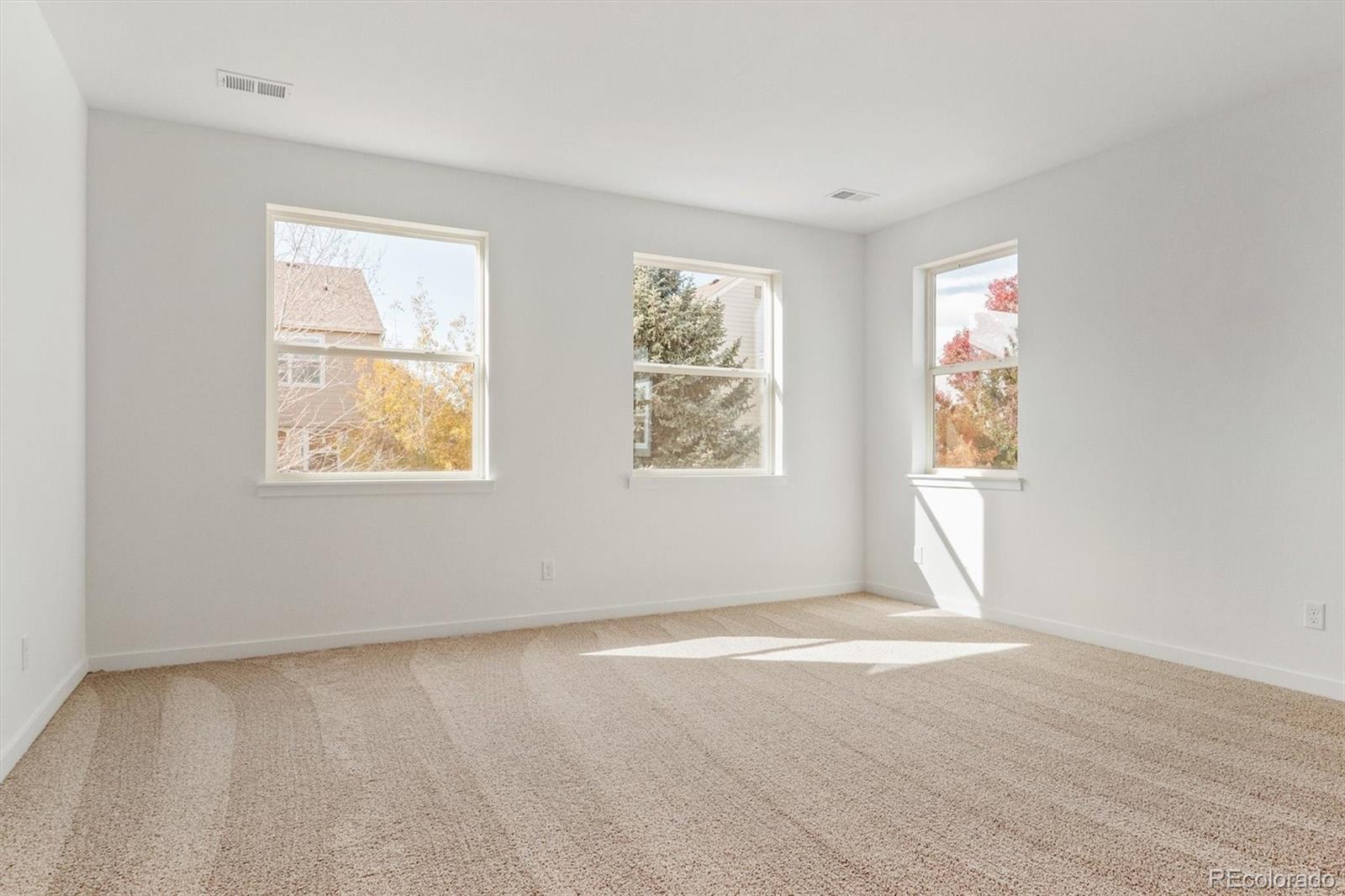 MLS Image #26 for 9227  gold lace place,highlands ranch, Colorado