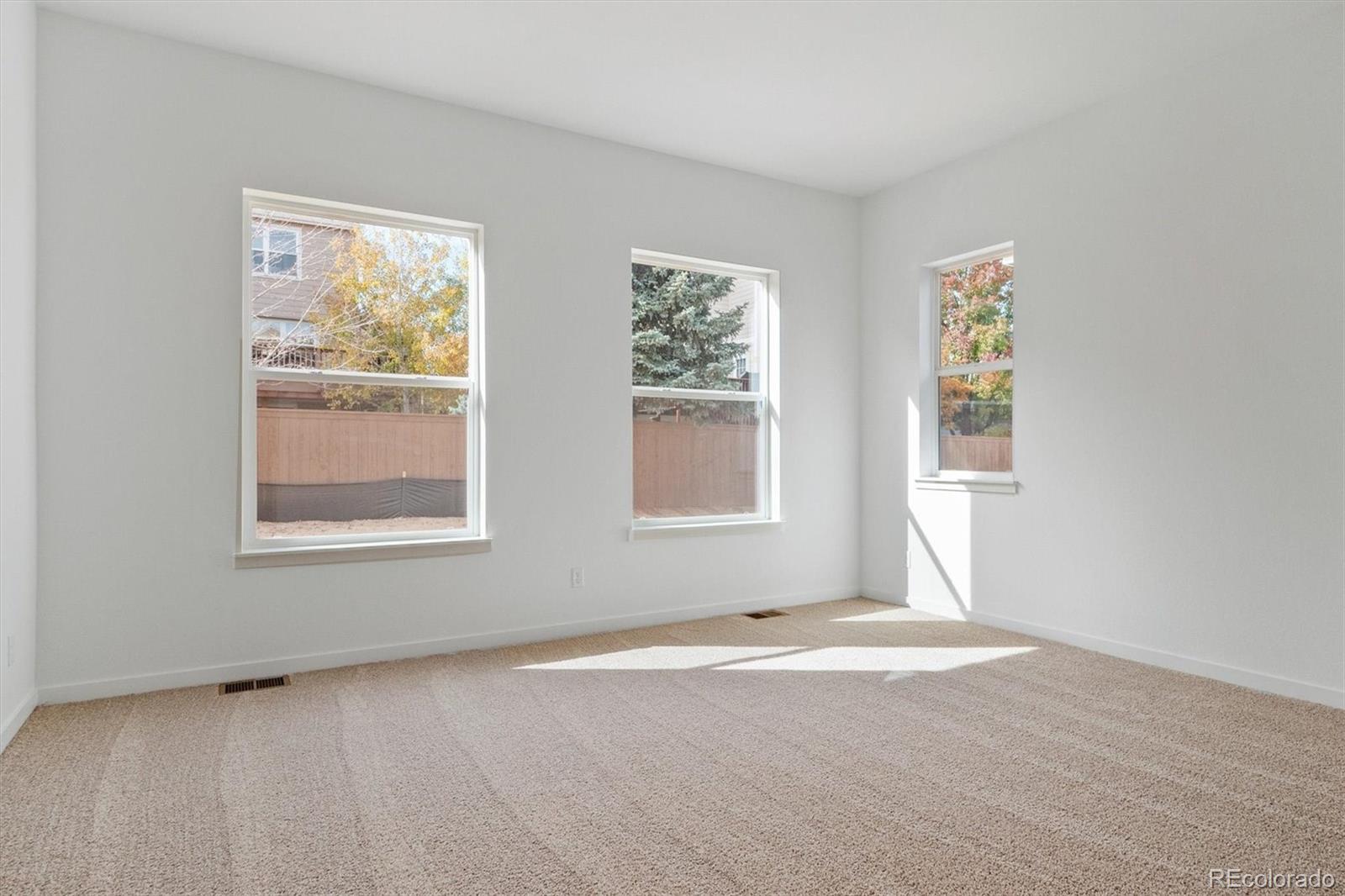 MLS Image #9 for 9227  gold lace place,highlands ranch, Colorado