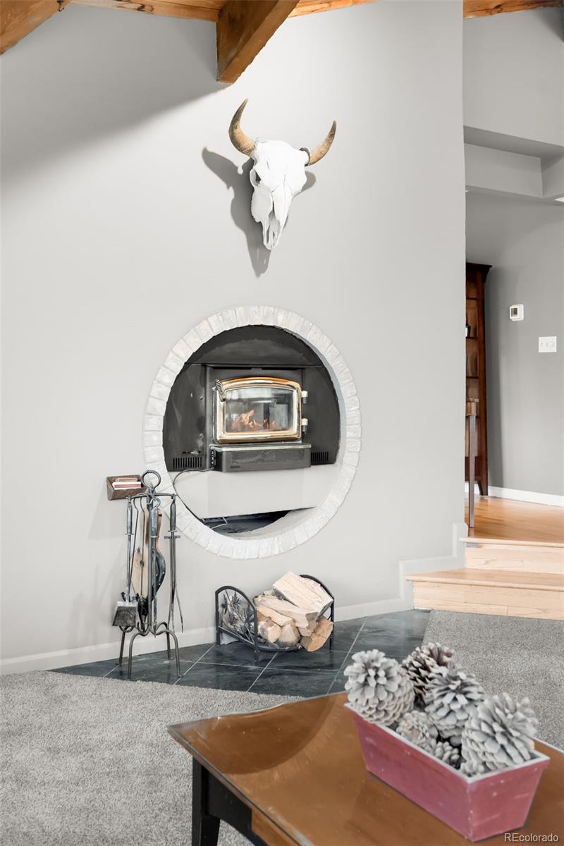 MLS Image #6 for 394  deer trail circle,boulder, Colorado
