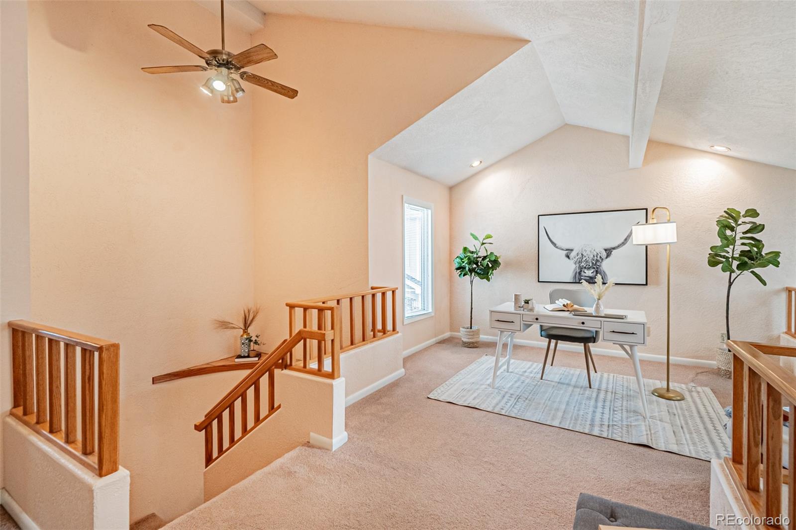 MLS Image #12 for 8909  xavier street ,westminster, Colorado