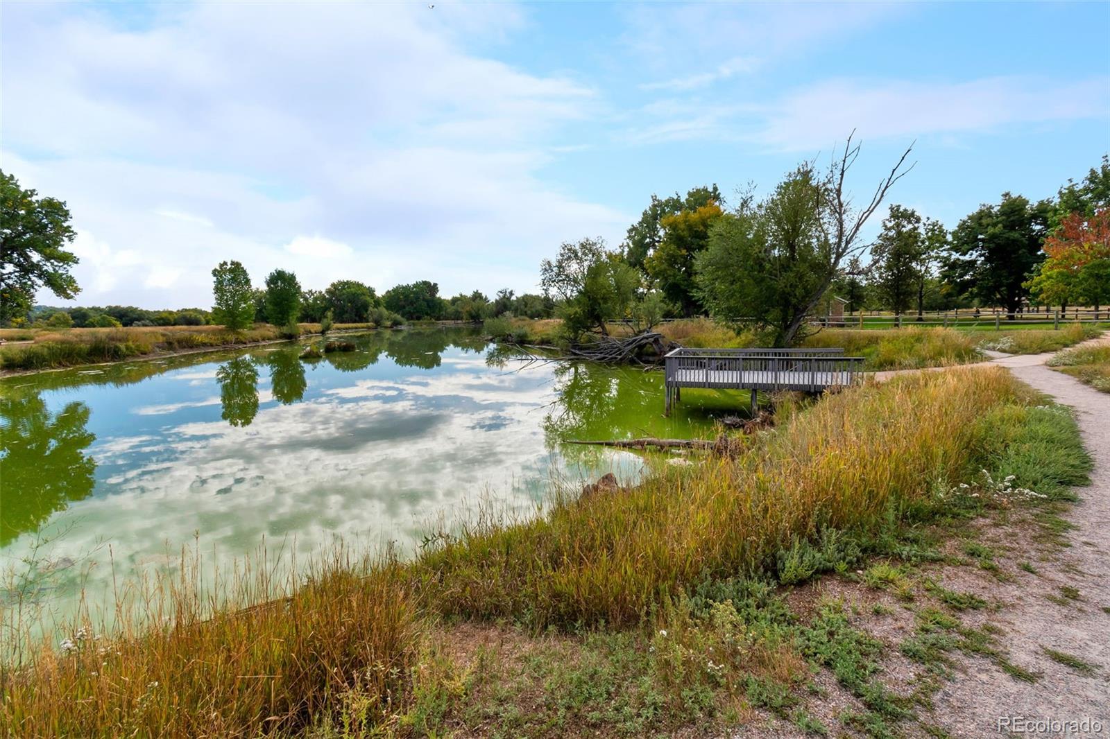MLS Image #19 for 8851 w yale avenue ,lakewood, Colorado