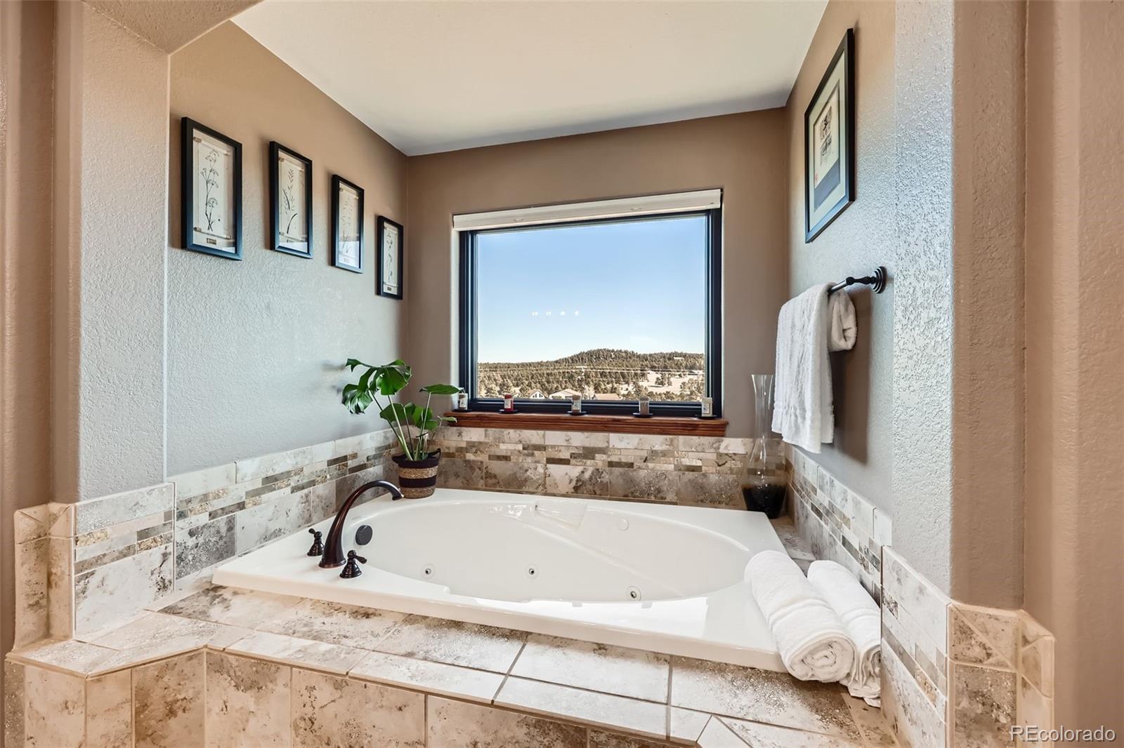 MLS Image #22 for 17955  grama ridge ,colorado springs, Colorado