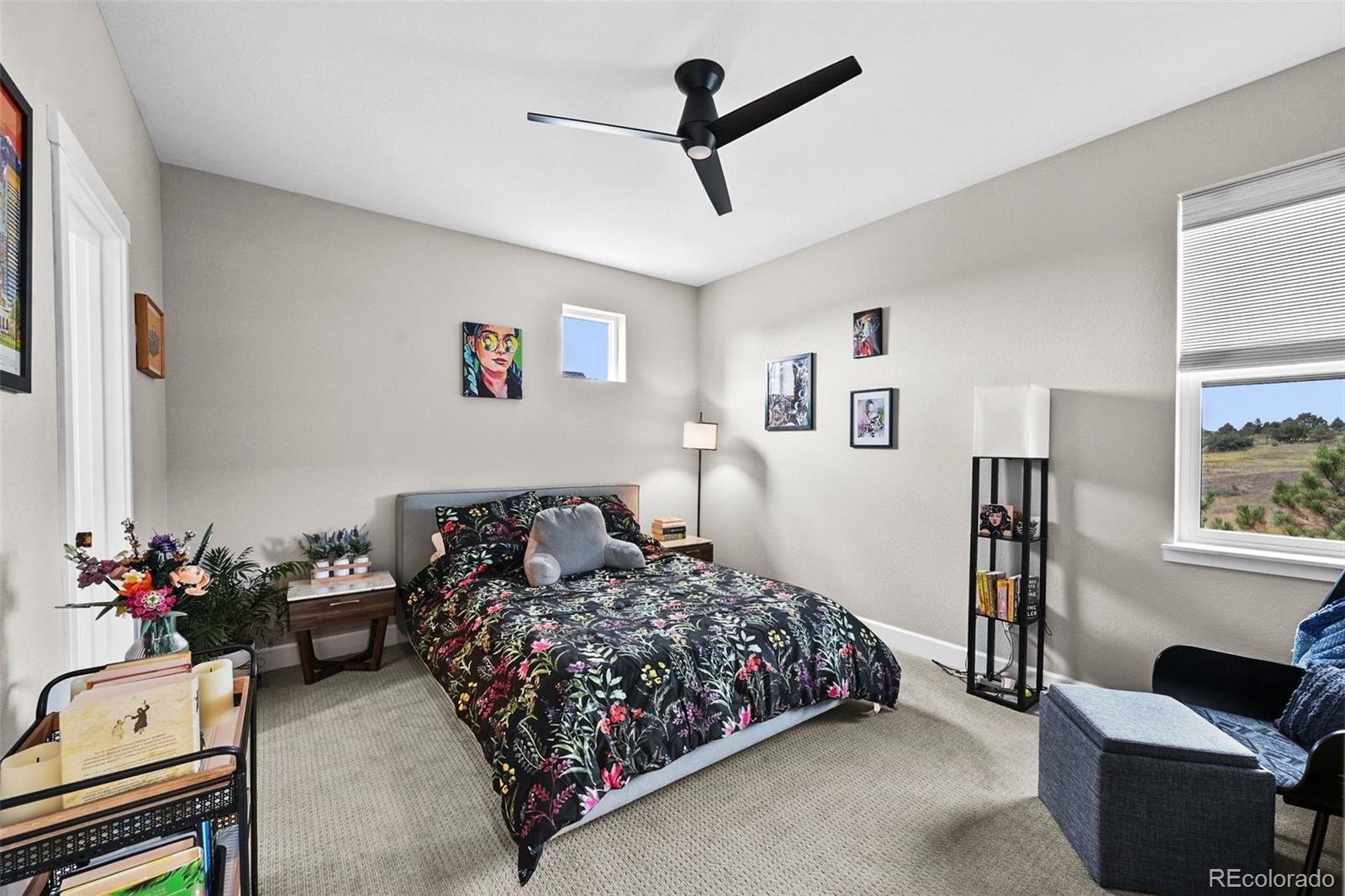 MLS Image #22 for 7043  homeplace street,castle rock, Colorado