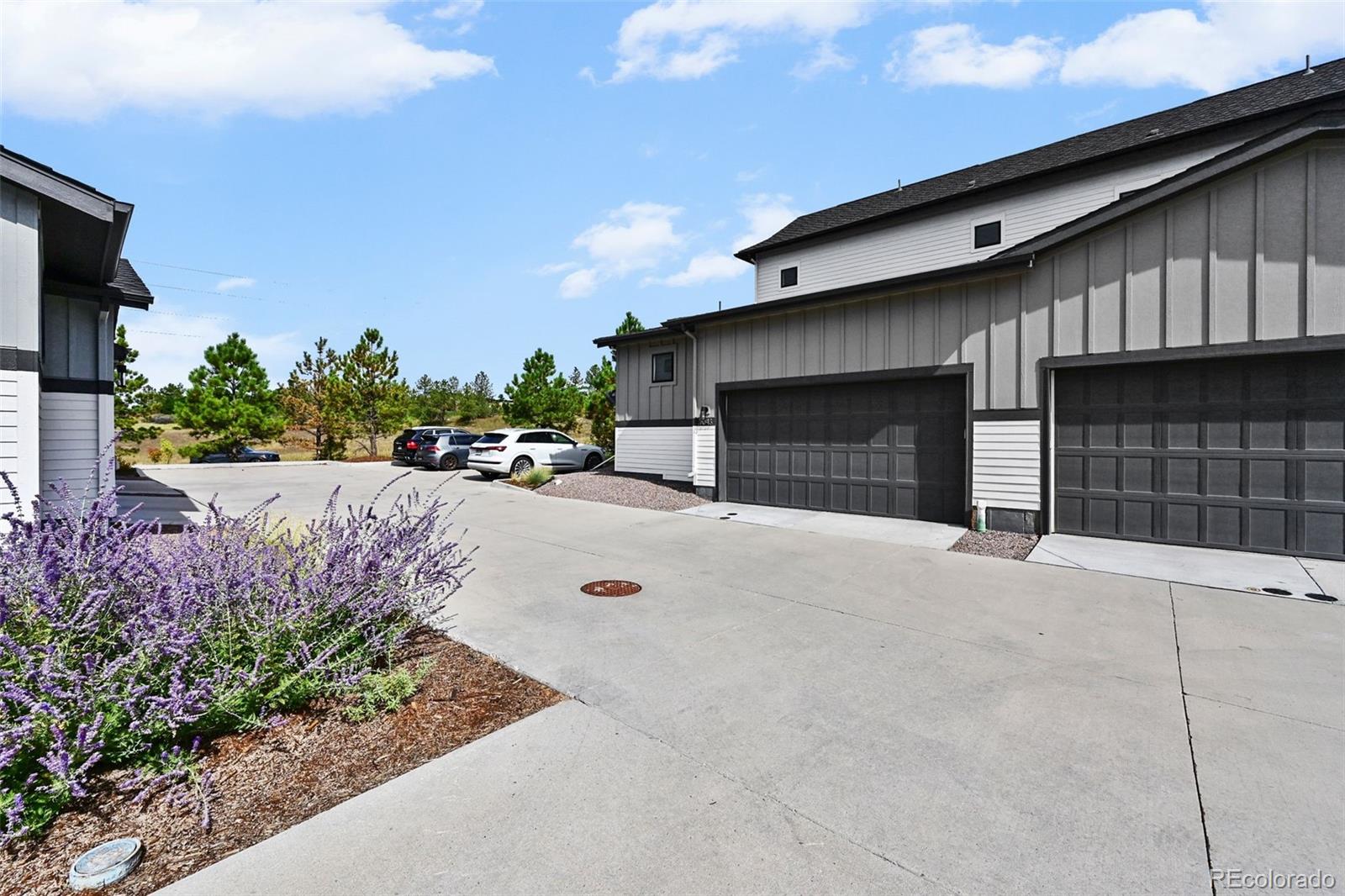 MLS Image #40 for 7043  homeplace street,castle rock, Colorado