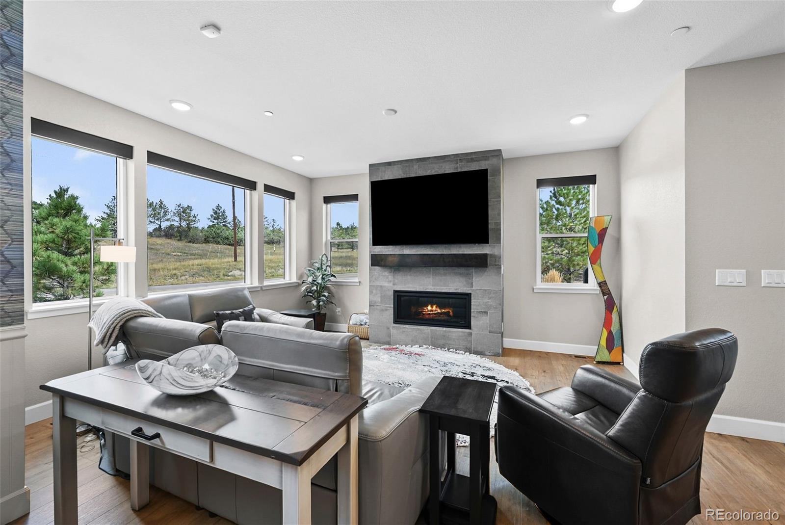 MLS Image #7 for 7043  homeplace street,castle rock, Colorado