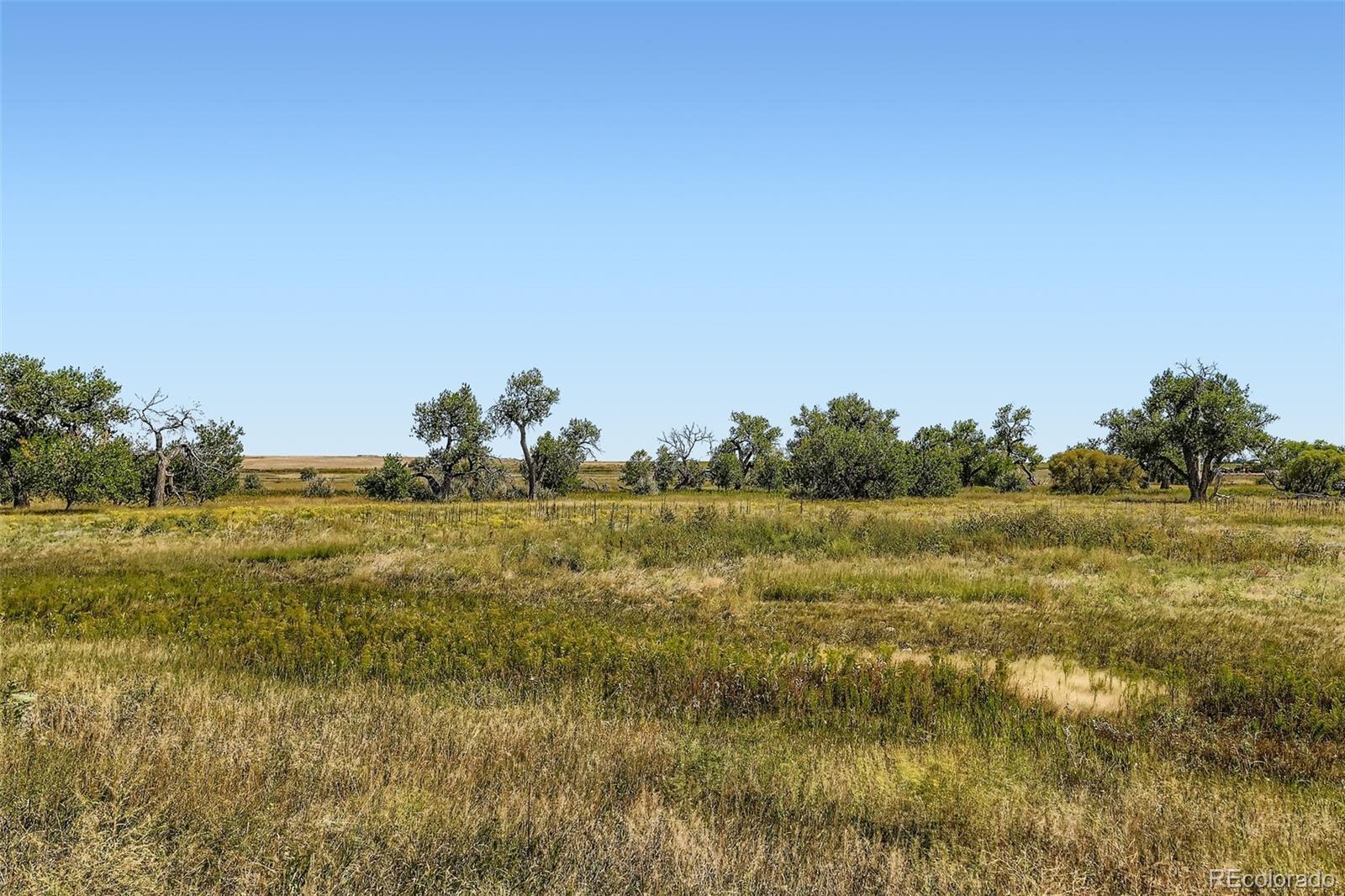 MLS Image #26 for 16540  umpire street,hudson, Colorado