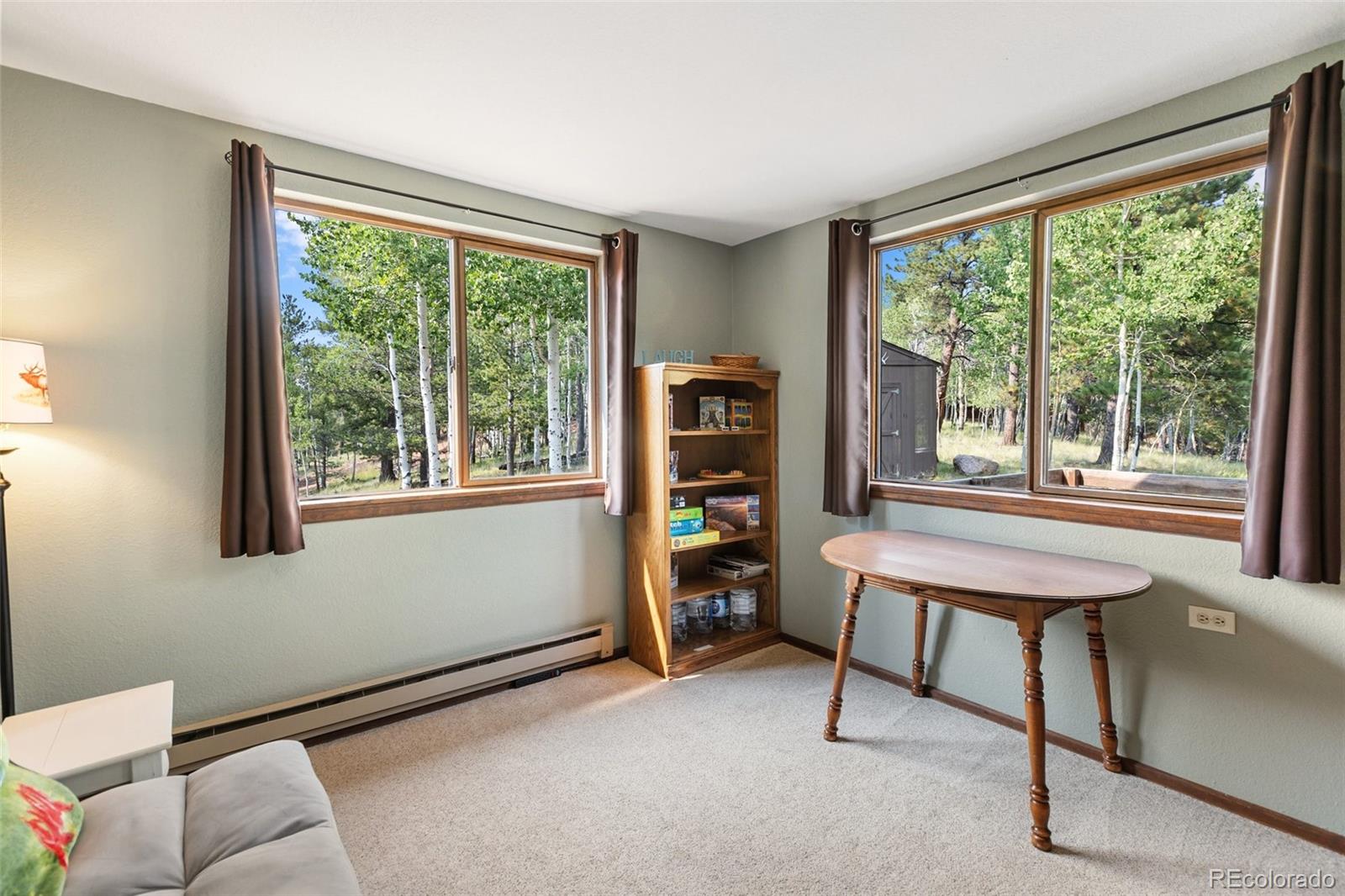 MLS Image #16 for 75  grosbeak circle,divide, Colorado