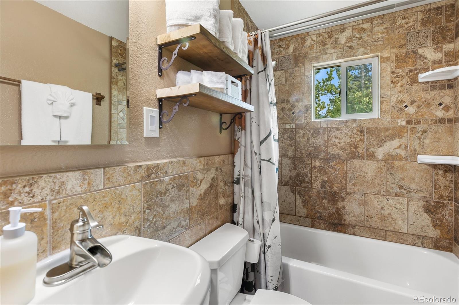MLS Image #21 for 75  grosbeak circle,divide, Colorado