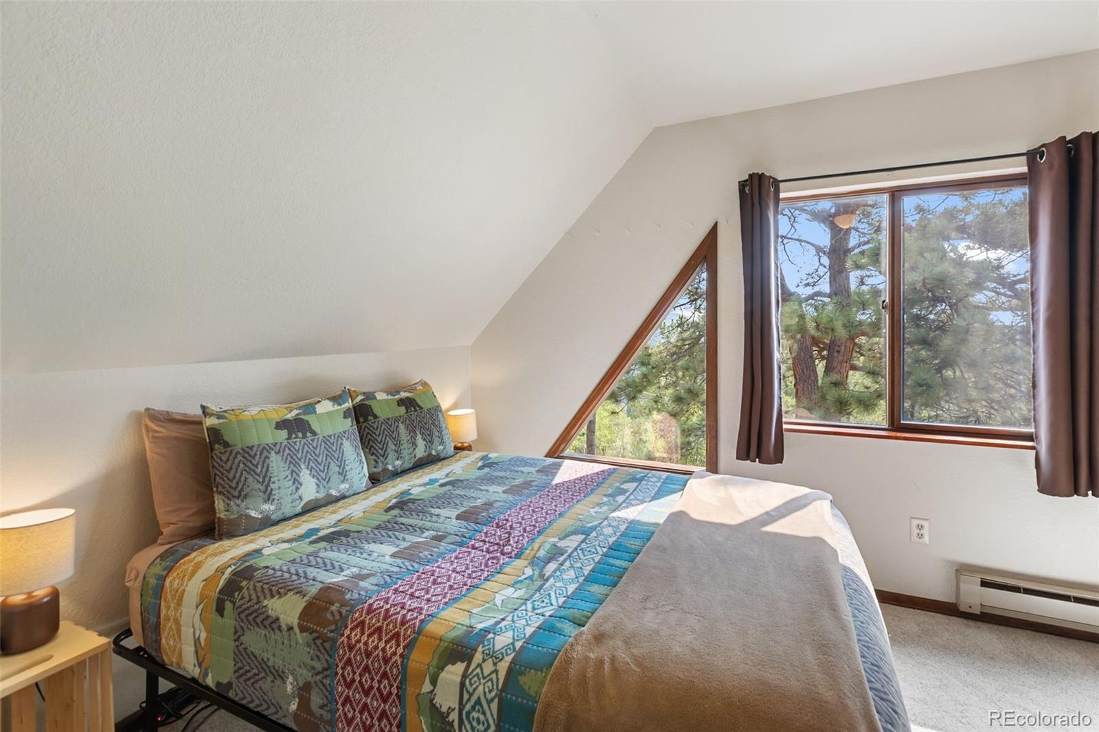 MLS Image #22 for 75  grosbeak circle,divide, Colorado
